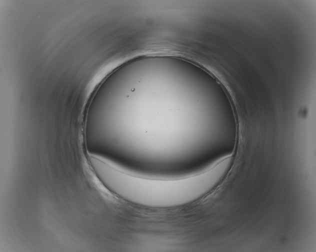 X0000111651485200907311305