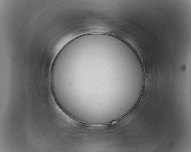 X0000111651487200907311305