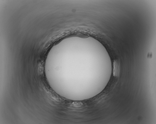 X0000111651491200907311304
