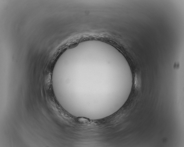 X0000111651492200907311304