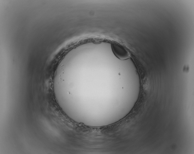 X0000111651495200907311304