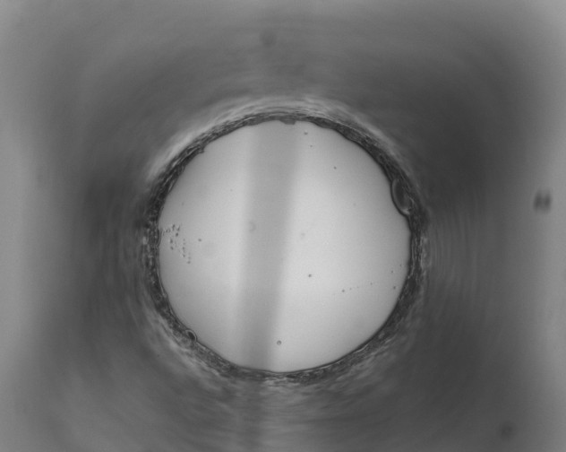X0000111651496200907311304