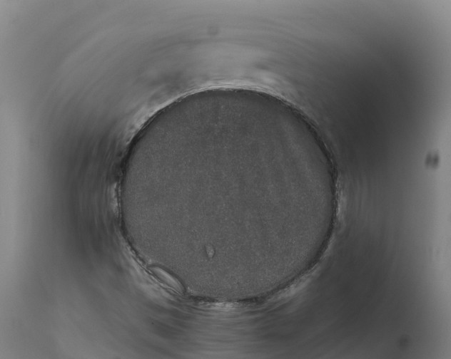 X0000111651497200907311304