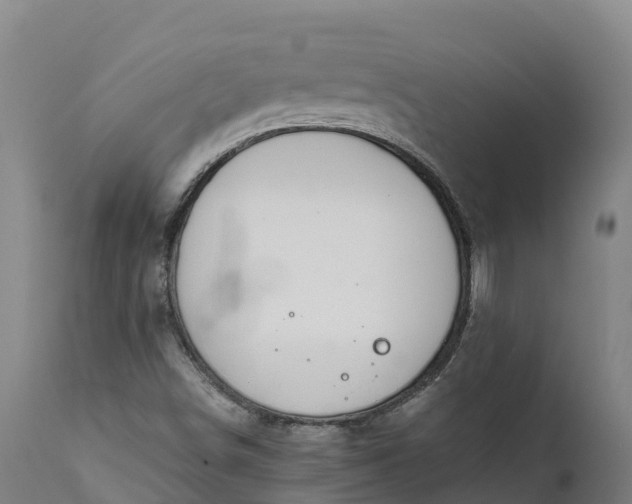 X0000111651498200907311304