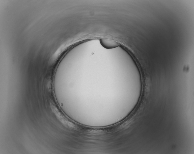 X0000111651499200907311304