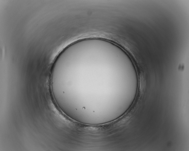 X0000111651500200907311304