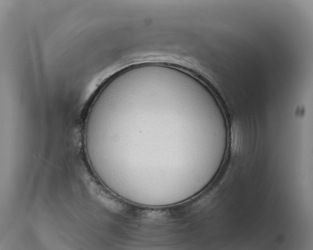 X0000111651501200907311304