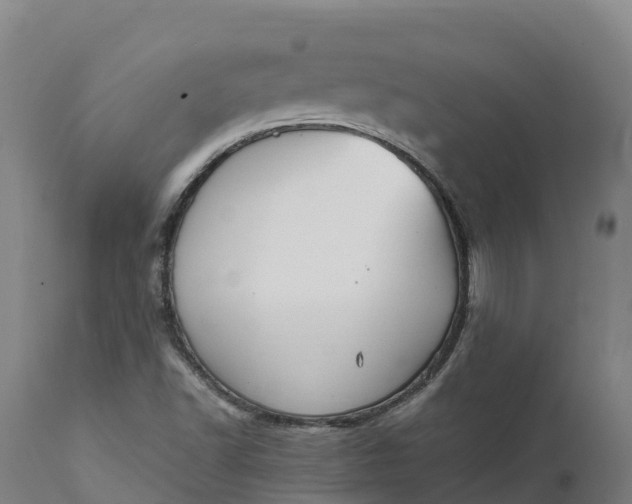 X0000111651502200907311304