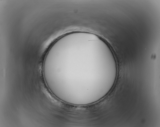 X0000111651503200907311304