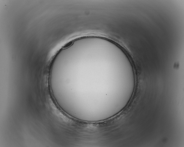X0000111651504200907311304