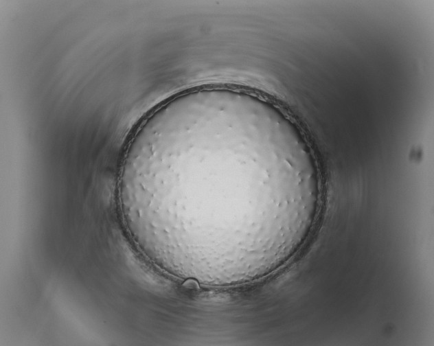 X0000111651505200907311304