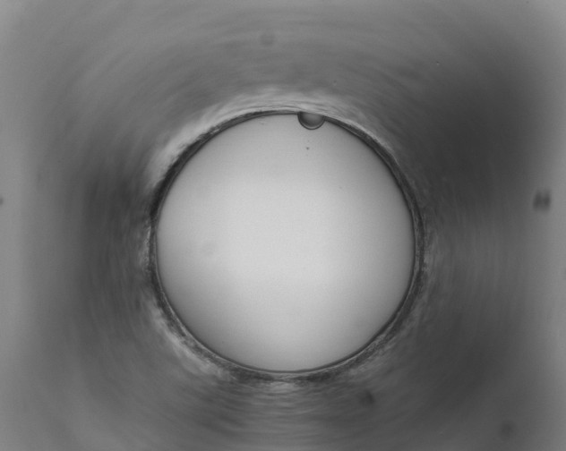 X0000111651507200907311304