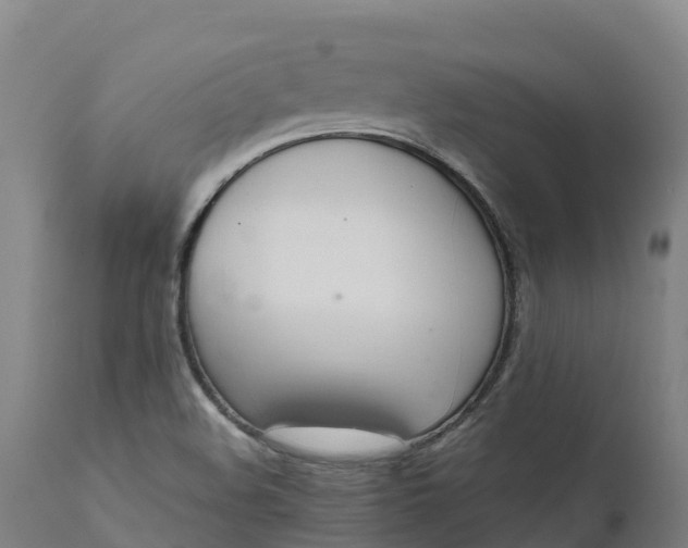 X0000111651508200907311304