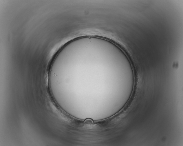 X0000111651509200907311304