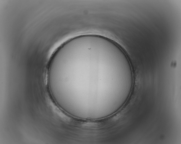 X0000111651510200907311304