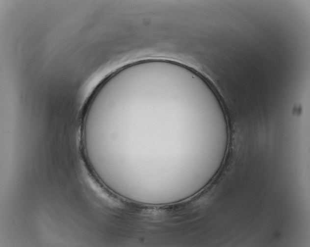 X0000111651511200907311304