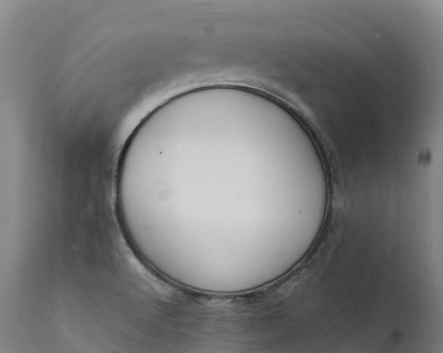 X0000111651512200907311304