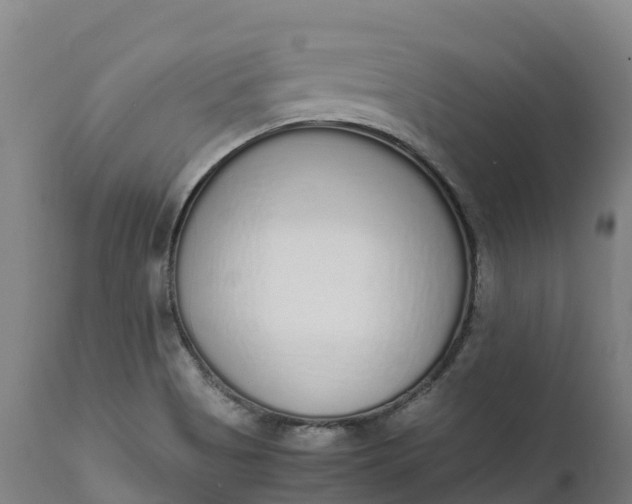 X0000111651513200907311304