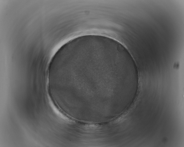 X0000111651515200907311304
