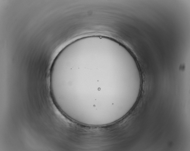 X0000111651516200907311304