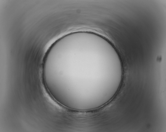 X0000111651518200907311304