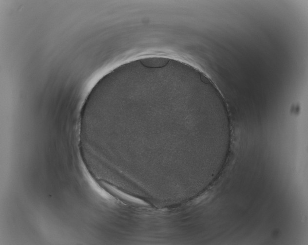 X0000111651519200907311304
