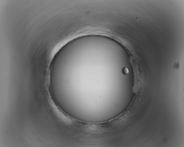 X0000111651520200907311304