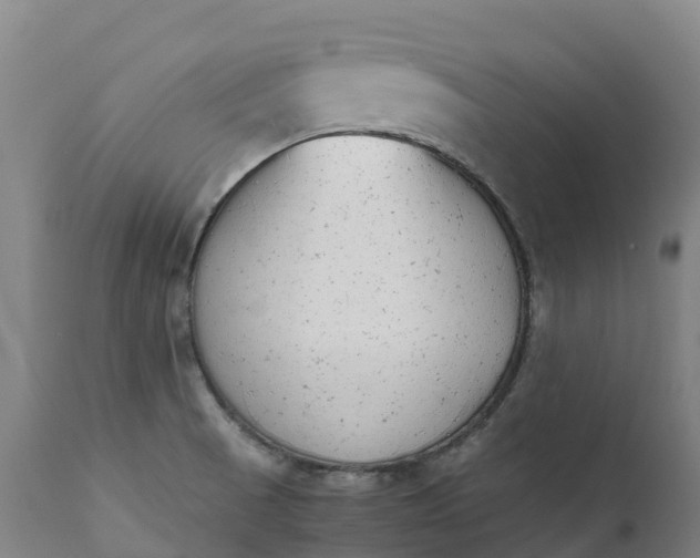 X0000111651521200907311304
