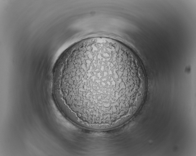 X0000111651522200907311304