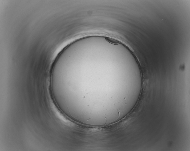 X0000111651523200907311304