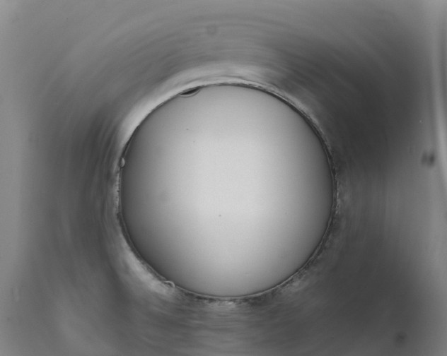 X0000111651524200907311304