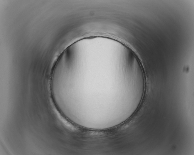 X0000111651525200907311304