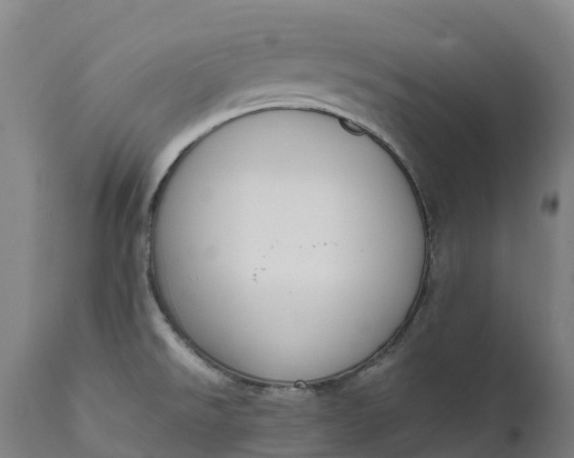 X0000111651526200907311304