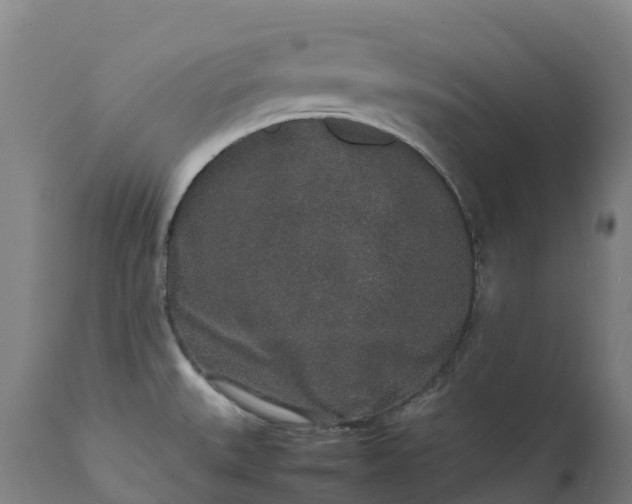 X0000111651527200907311304