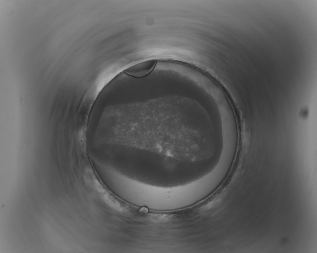 X0000111651529200907311304