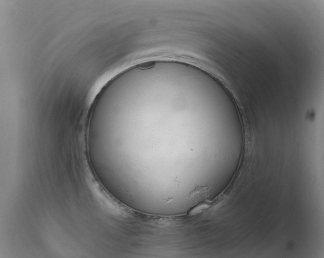 X0000111651530200907311305