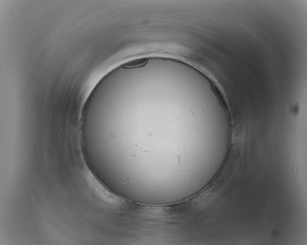 X0000111651532200907311305