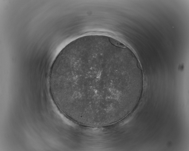 X0000111651533200907311305