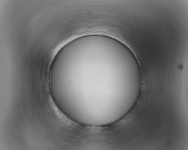 X0000111651534200907311305