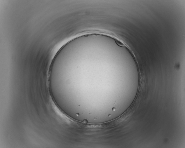 X0000111651535200907311305
