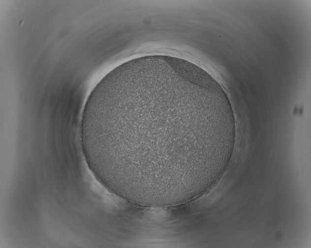 X0000111651536200907311305