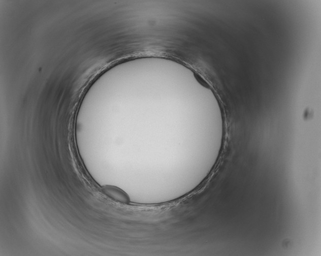 X0000111650001200908071420