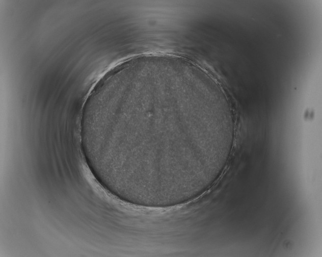 X0000111650002200908071420