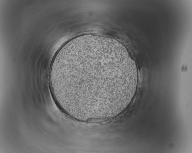 X0000111650003200908071420