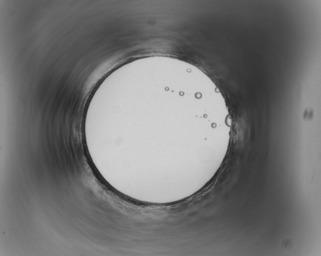 X0000111650004200908071420