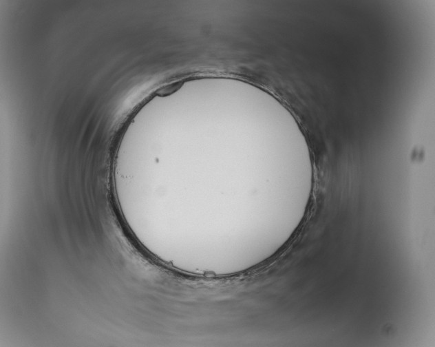 X0000111650005200908071420