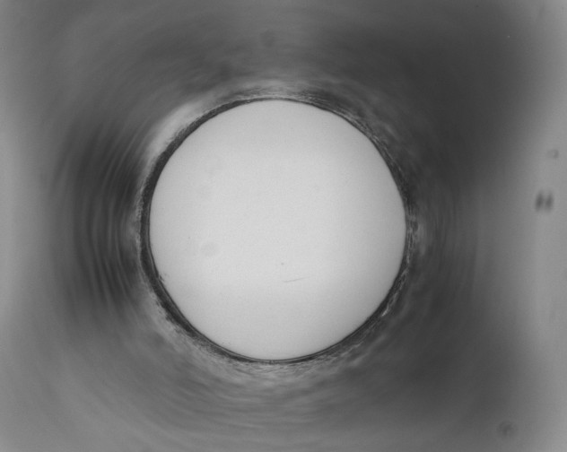 X0000111650006200908071420
