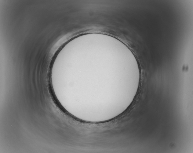 X0000111650007200908071420