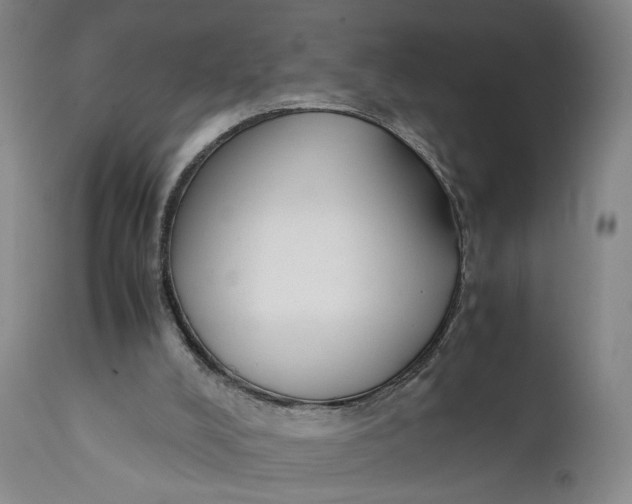 X0000111650008200908071420