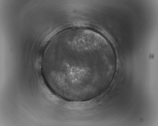 X0000111650009200908071420